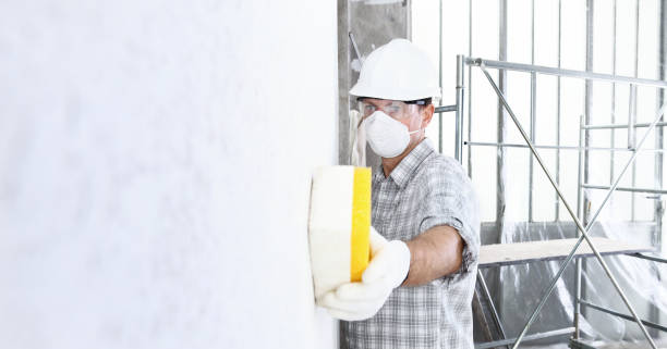 Best Mold Remediation for Healthcare Facilities  in Des C, AR